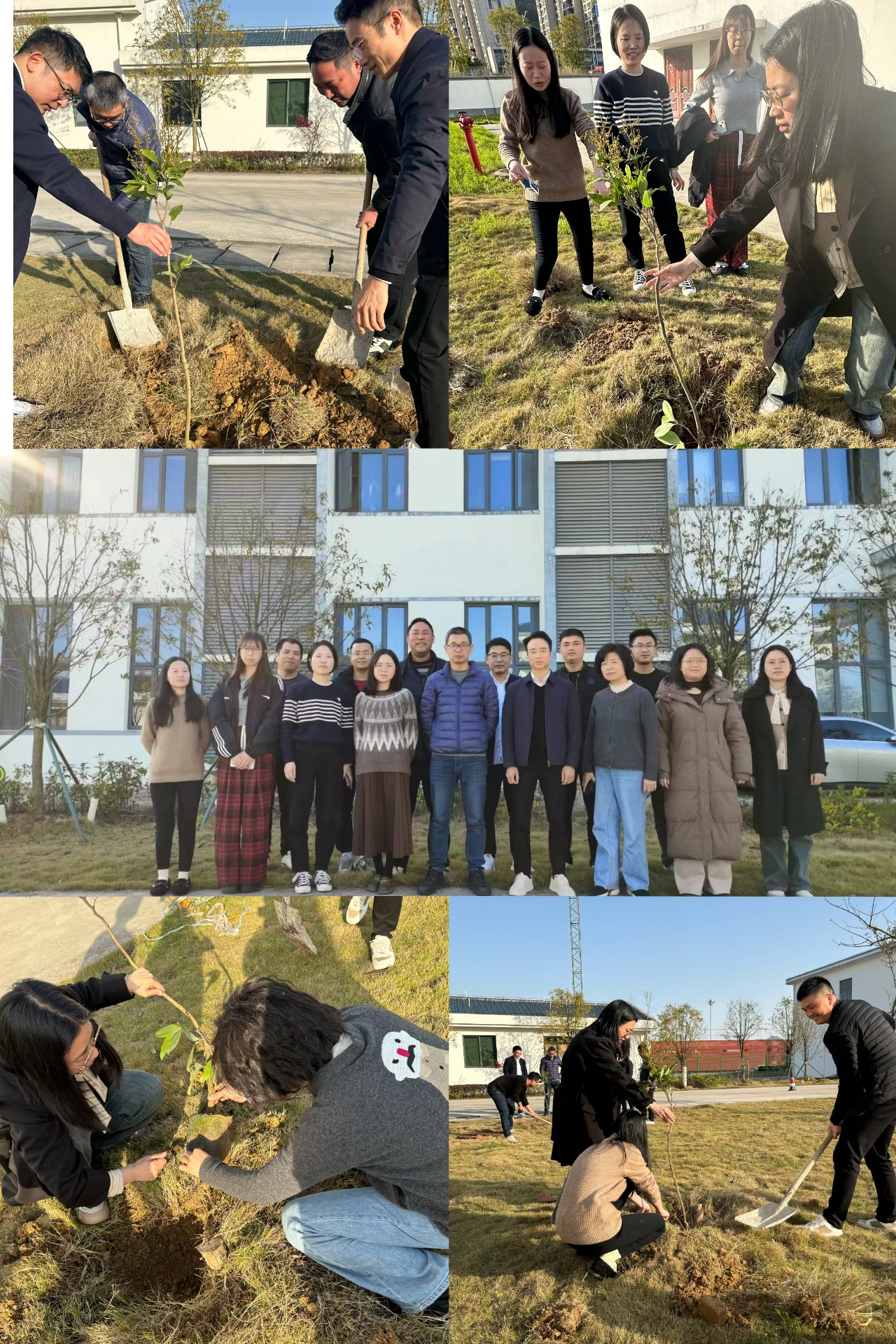 2024-3-12綠色陸港，美麗寧德，阮克妙拍攝.jpg